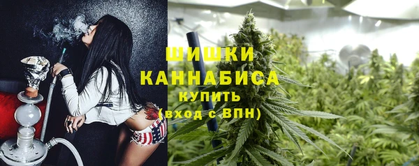 spice Белокуриха