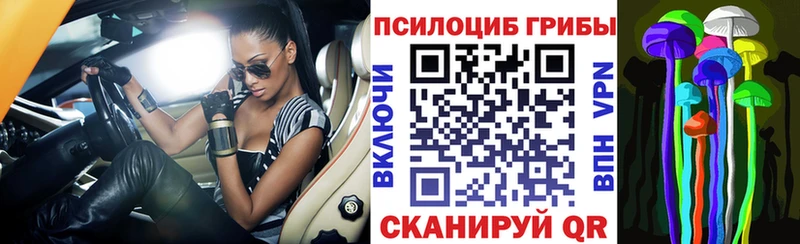 Галлюциногенные грибы ЛСД  даркнет сайт  ОМГ ОМГ зеркало  Старица 